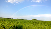 Fields of Rainbow