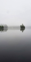 Cher Davis - Foggy Morning Fishing