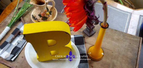alphabet-photography-yellow-b-orange-coffee
