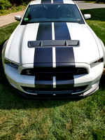Driving the Shelby